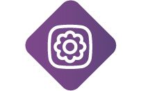 Odoo - Exemplo 1 para três colunas