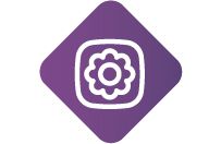 Odoo - Exemplo 1 para três colunas